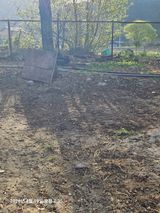 김병효님의 작성글 사진