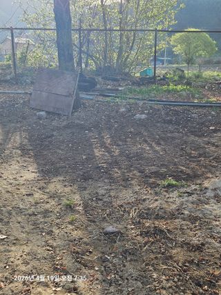 김병효님의 기타작물 · 영농일지 작성글 사진