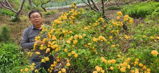 김순섭님의 기타작물 · 영농일지 작성글 사진