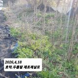 시민농장님의 작성글 사진