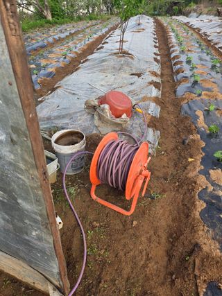 정영석님의 복숭아 · 영농일지 작성글 사진