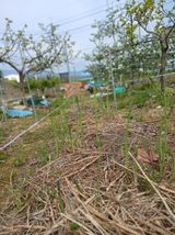 엄기덕님의 작성글 사진