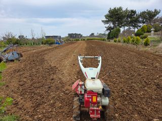 체리123님의 참깨 · 영농일지 작성글 사진