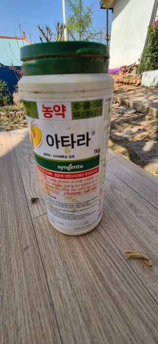 골드래곤님의 옥수수 · 영농일지 작성글 사진