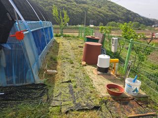 심기정님의 기타작물 · 영농일지 작성글 사진