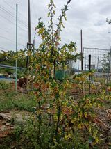 엄기덕님의 작성글 사진