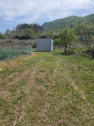 양파12861님의 작성글 사진