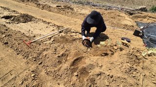 정서연님의 포도 · 영농일지 작성글 사진