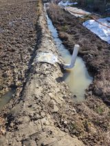 백현호님의 작성글 사진