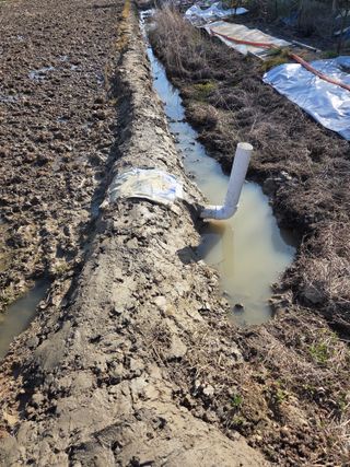 백현호님의 기타작물 · 영농일지 작성글 사진