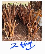 정찬영님의 작성글 사진