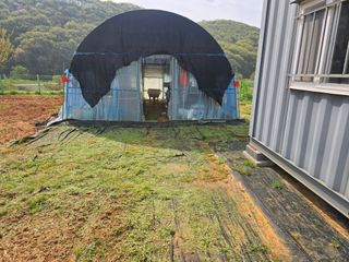 심기정님의 기타작물 · 영농일지 작성글 사진