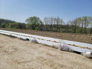 신승철님의 벼 · 영농일지 작성글 사진