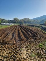 논산푸른팜님의 작성글 사진