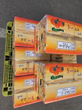 쌍둥이농장님의 기타작물 · 영농일지 작성글 사진