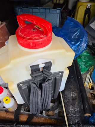 김영옥님의 두릅 · 영농일지 작성글 사진