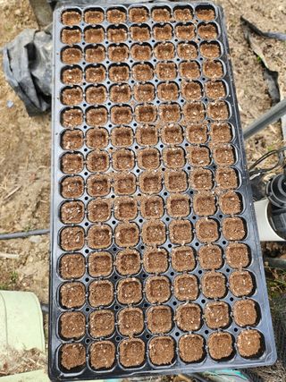 드라곤해드님의 기타작물 · 영농일지 작성글 사진