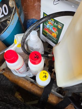 김영옥님의 두릅 · 영농일지 작성글 사진