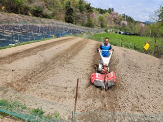 최미선님의 기타작물 · 영농일지 작성글 사진