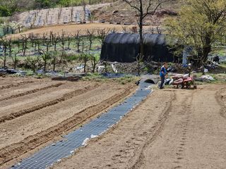 최미선님의 기타작물 · 영농일지 작성글 사진