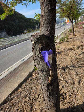 김용대님의 기타작물 · 영농일지 작성글 사진