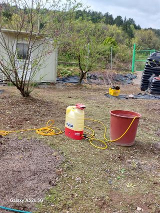 손길준님의 기타작물 · 영농일지 작성글 사진