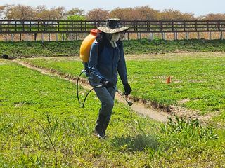 심지님의 기타작물 · 영농일지 작성글 사진