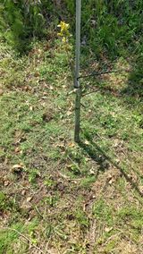 팜모닝 감·영농일지 게시글 이미지