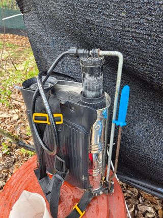 김영옥님의 두릅 · 영농일지 작성글 사진