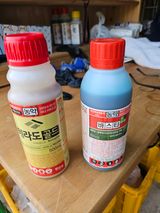 조영민님의 작성글 사진