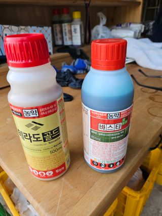 조영민님의 배 · 영농일지 작성글 사진