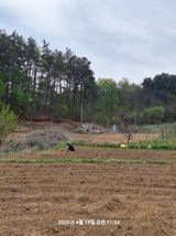 이수홍(이창희)님의 작성글 사진