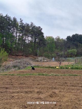 이수홍(이창희)님의 기타작물 · 영농일지 작성글 사진