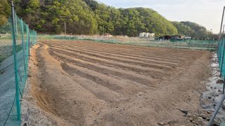  조약돌님의 콩 · 영농일지 작성글 사진