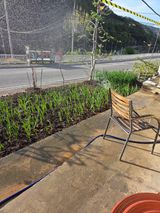 팜모닝 기타작물·영농일지 게시글 이미지