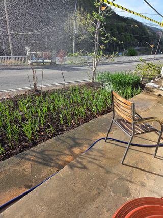 김용대님의 기타작물 · 영농일지 작성글 사진