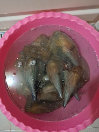 결단이님의 기타작물 · 영농일지 작성글 사진