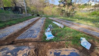 서초농원님의 기타작물 · 영농일지 작성글 사진