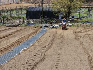 최미선님의 기타작물 · 영농일지 작성글 사진