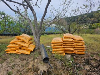 서정훈 님의 기타작물 · 영농일지 작성글 사진