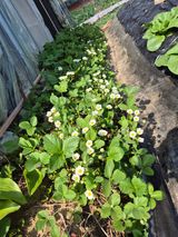 이경옥님의 작성글 사진