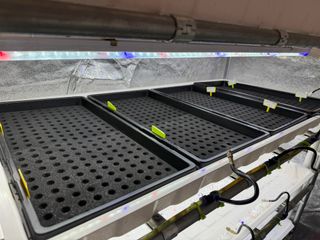 옴마님의 상추 · 영농일지 작성글 사진