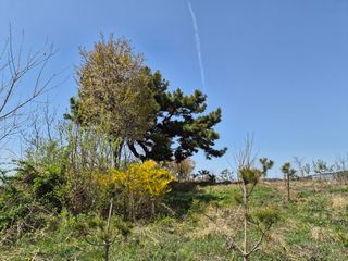 정창배 님의 기타작물 · 영농일지 작성글 사진