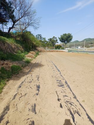 인산님의 기타작물 · 영농일지 작성글 사진