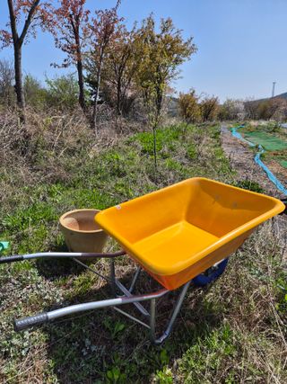 정창배 님의 기타작물 · 영농일지 작성글 사진