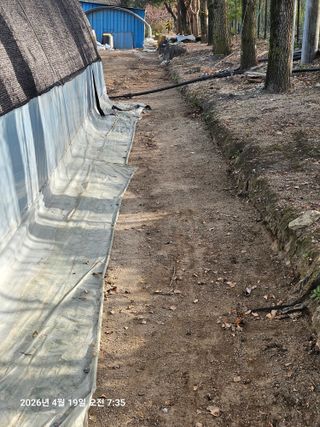 김병효님의 기타작물 · 영농일지 작성글 사진