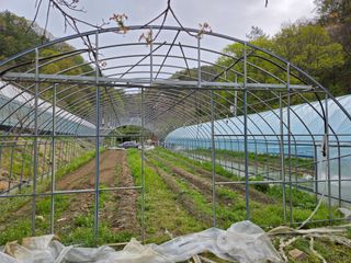 윤자용11대임후회장님의 작성글 사진