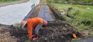 한성대 (61년생)님의 기타작물 · 영농일지 작성글 사진
