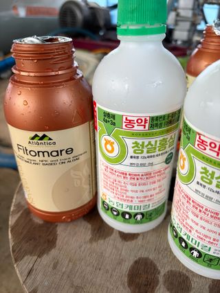 김성희님의 포도 · 영농일지 작성글 사진