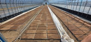 강연수님의 벼 · 영농일지 작성글 사진